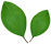 common_leaf_icon